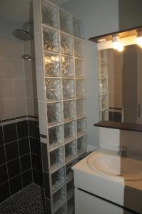 uma casa de banho com um lavatório e um chuveiro com prateleiras de plástico transparente em Gite de Charme em Calviac