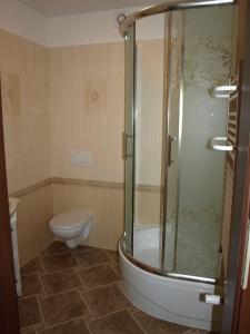 a bathroom with a shower and a toilet at Pokoje Gościnne - Noclegi Charzykowy in Charzykowy +42 photos