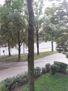 Vonkajšia záhrada v ubytovaní APARTAMENTY CENTRUM PIŁSUDSKIEGO