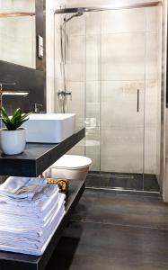 a bathroom with a sink and a toilet and a shower at H&G Boutique Apartments in Oświęcim