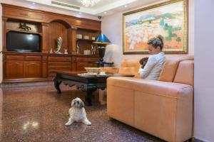 Mascotas con sus dueños en Hotel Torre Azul & Spa - Adults Only
