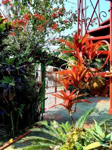 フロリアノポリスにあるPousada Estrela do Marのギャラリーの写真 +40枚の写真