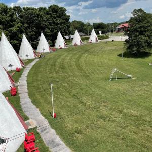 a group of white tents in a grass field at Historic Wigwam Village No 2 in Cave City
