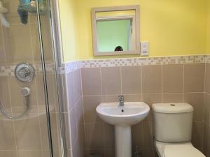 e bagno con servizi igienici, lavandino e doccia. di Stunning Lake District Cottage a Penrith