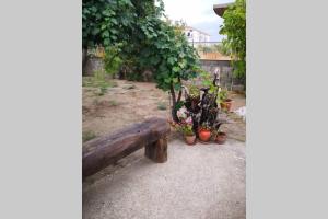 a wooden bench with flowers and plants in a yard at Calabria-VILLA FRANCA- AAUT Casa per Vacanze al mare- Privacy e tranquillità- in Cariati +18 photos