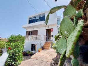 une maison avec un cactus en face dans l'établissement Casa Ana con balcón, à Punta del Hidalgo