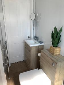 ein Badezimmer mit einem Waschbecken, einem WC und einem Spiegel in der Unterkunft Woodvale Flat, Renton, Loch Lomond in Renton