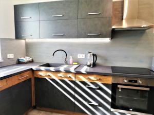 Kuchyň nebo kuchyňský kout v ubytování Apartmány Pod Čápy, Nasavrky