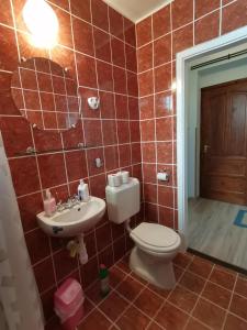 een badkamer met een toilet en een wastafel bij Rózsa Apartman in Gyula