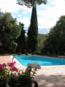 een blauw zwembad met een stoel en een boom bij Masia Vista Hermosa in Vallromanas