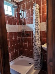 een badkamer met een douche en een bad bij Rózsa Apartman in Gyula