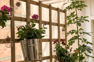 een groep planten op een vensterbank bij Your cozy downtown home - Studio in Larisa