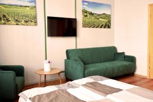 a living room with a couch and a tv at Apartament Riesling in Zielona Góra
