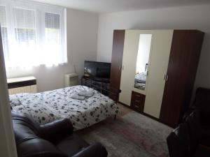 a bedroom with a bed and a mirror at Bega Apartman in Barcs