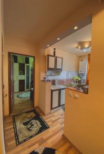 Η κουζίνα ή μικρή κουζίνα στο Apartament Cristian