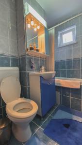 La salle de bains est pourvue de toilettes et d'un lavabo. dans l'établissement Apartament Cristian, à Geoagiu Băi
