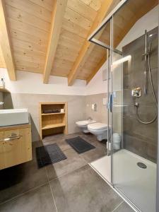 ein Bad mit einer Dusche, einem Waschbecken und einem WC in der Unterkunft Sartu Apartments in St. Vigil