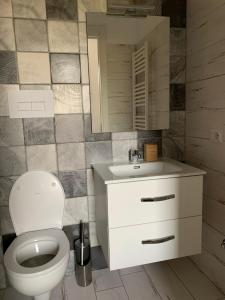 bagno con servizi igienici, lavandino e specchio di Ai Cerri di Remí a Lauria Inferiore