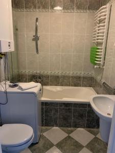 Bilik mandi di Apartament Czarny Potok