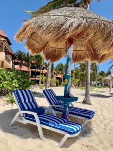 Fotografie z fotogalerie ubytování Beachfront Hammock Heaven v destinaci Akumal