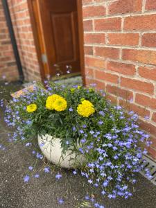 a pot of flowers in front of a brick building at Willow Tree Cottages in Newark upon Trent