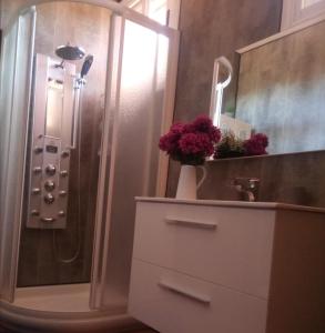 a bathroom with a shower and a sink at Casa do Bouza Vello in Sober