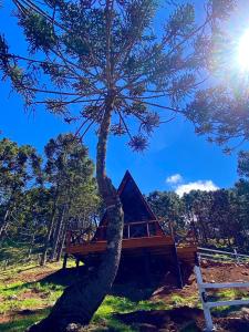 a tree growing around a wooden tree house at URUBICI - Cabana da Montanha in Mundo Novo