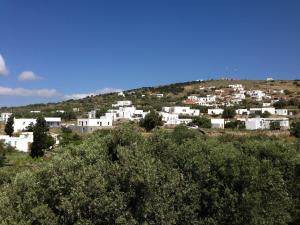 a group of white buildings on a hill with trees at Sofia's Studios in Artemonas