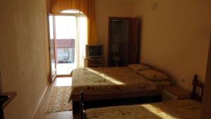 a bedroom with two beds and a television and a window at Villa Majda in Peštani