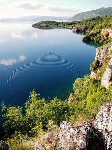an aerial view of a lake with a boat in it at Villa Majda in Peštani