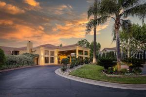a house with a palm tree and a driveway at Best Western Plus Dixon Davis in Dixon
