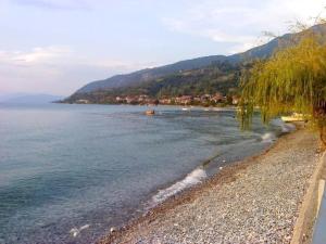 a beach with a body of water and a mountain at Villa Majda in Peštani