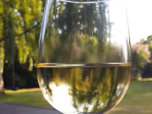 a glass of white wine sitting on a table at 4 person holiday home in Slagelse in Slagelse
