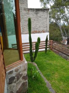 Zahrada ubytování Cabaña Los Nogales