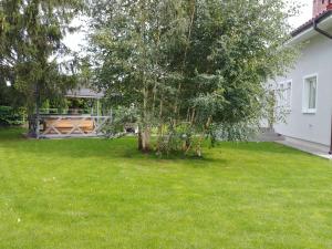 un patio con un árbol y una casa en Cicha 3, en Sztutowo