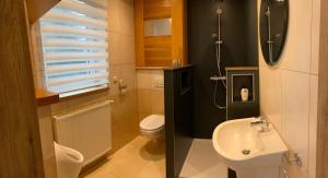 a small bathroom with a sink and a toilet at Residenz Arens in Amblève