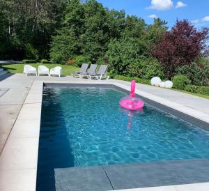 uma piscina com um rosa em frente a uma casa em Plein la vue em Barvaux