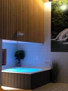 a bathroom with a hot tub with a potted plant at Etoile des Neiges Piscine Spa Sauna in Métabief