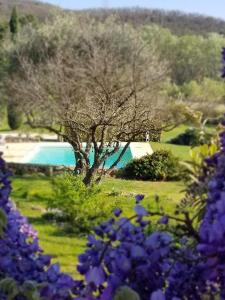 un árbol en medio de un patio con flores púrpuras en Les Genêts de la Valdaine en Rochefort-en-Valdaine