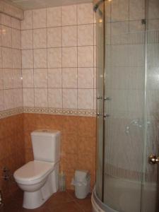 W łazience znajduje się toaleta i przeszklony prysznic. w obiekcie Hotel Atasayan w mieście Gebze