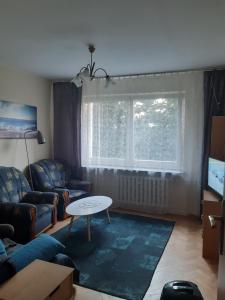 sala de estar con sofá y mesa en Mieszkanie 2-pokojowe, en Rzeszów