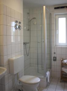 La salle de bains est pourvue d'une douche, de toilettes et d'un lavabo. dans l'établissement Seute Deern, à Kirchdorf