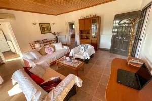 Televízia a/alebo spoločenská miestnosť v ubytovaní Villa Vicky Corfu
