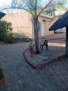 un banco sentado junto a un árbol y un edificio en Mongilo Guesthouse, en Windhoek