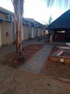 un árbol en medio de una acera al lado de un edificio en Mongilo Guesthouse, en Windhoek