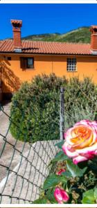 Imagen de la galería de Diana Apartman, en Brseč