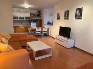 a living room with a couch and a flat screen tv at Apartmány Čertovka in Harrachov