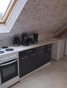 Kuchyň nebo kuchyňský kout v ubytování Vogelnest Riesa