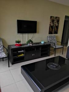 a living room with a black entertainment center with a flat screen tv at Ann's Place in Umdloti