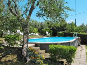 einen Pool in einem Garten mit einem Baum in der Unterkunft Locazione Turistica L'Uccelliera - SMN130 in Canneto